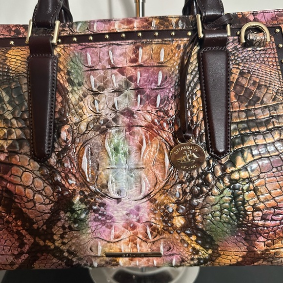 Brahmin Rattlesnake small Finley nwt - Picture 2 of 8